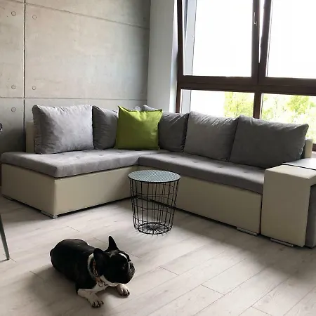 Apartament Up'Arts Wrocław Zewnętrze zdjęcie