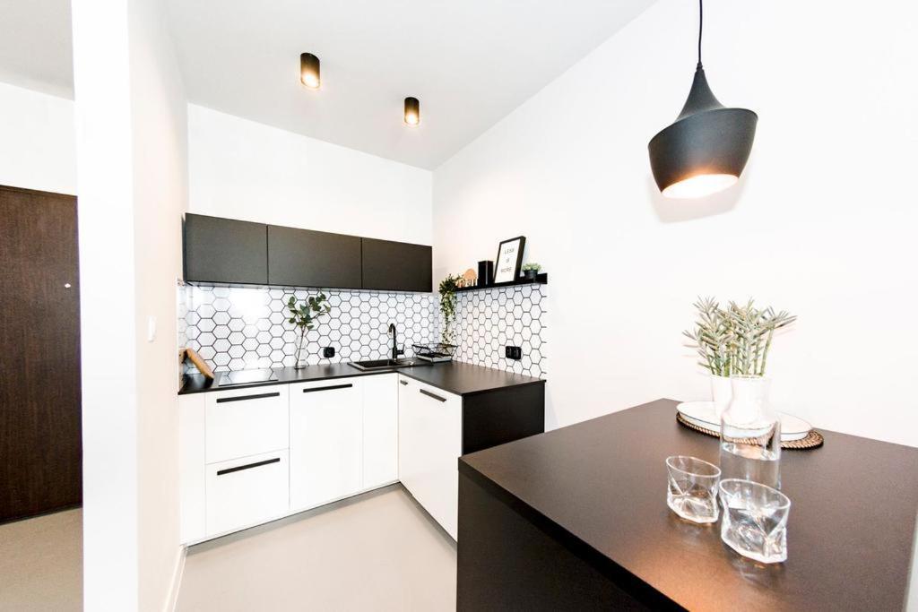 Apartament Up'arts Wrocław