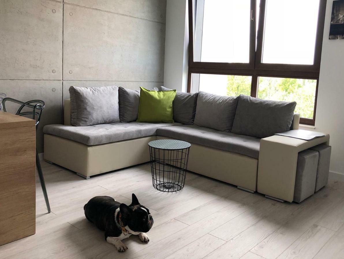 Apartament Up'arts Wrocław